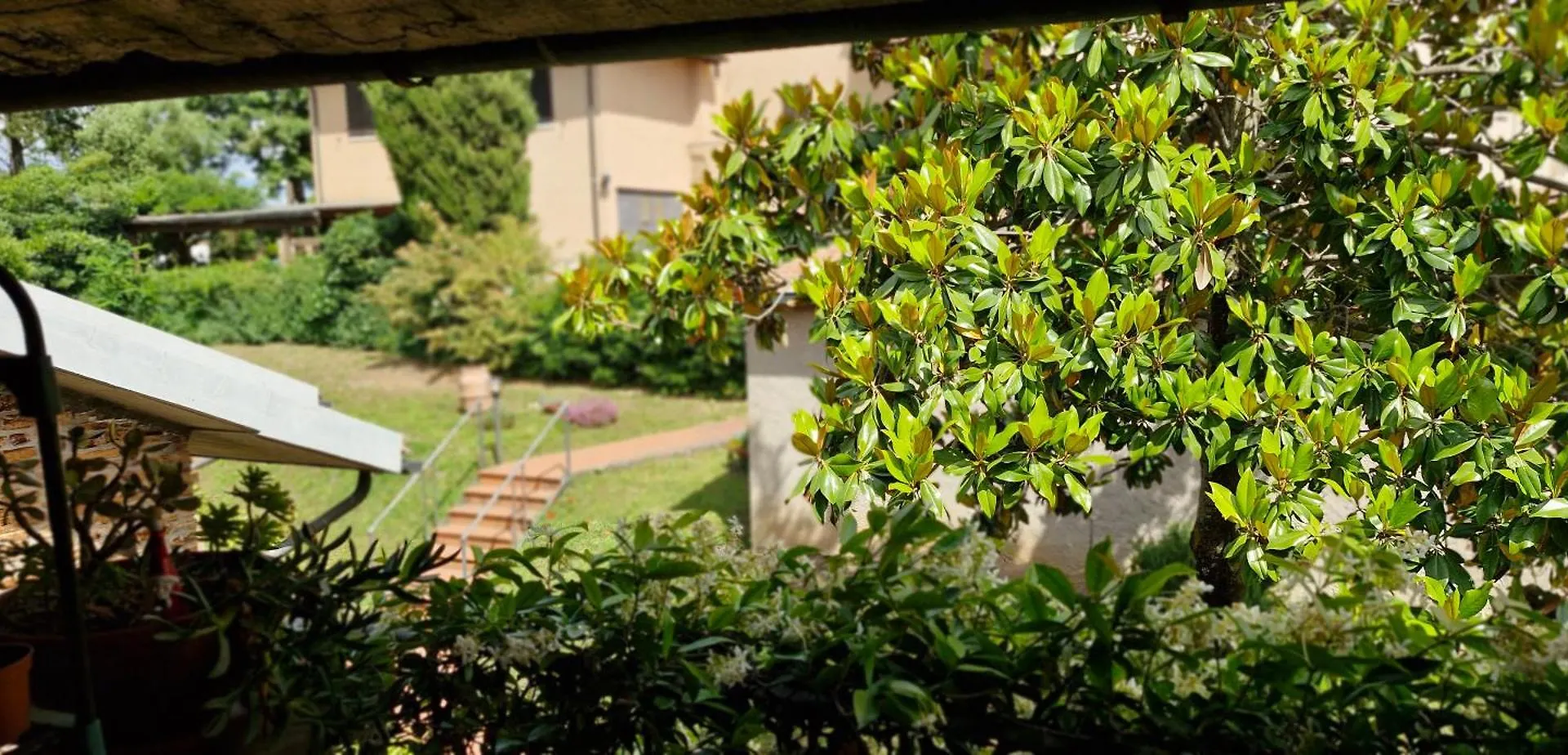 Casa Serena Massa Marittima Centrale Con Giardino Bike Friendly 0*,